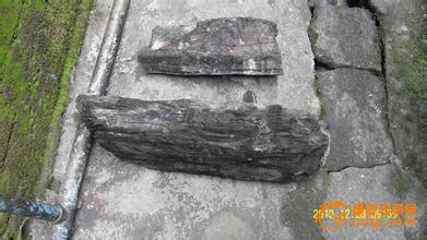 江西农民挖出80吨乌木价值4亿,四川农民挖出最大的乌木