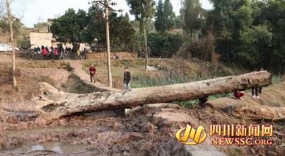 ���ڳ�����ľ��˿�ֵ����Ǯ,���������ڳ�������ľ��ֵ����