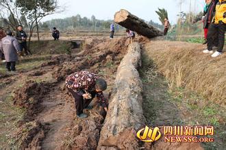 ���ڳ�����ľ��˿�ֵ����Ǯ,���������ڳ�������ľ��ֵ����