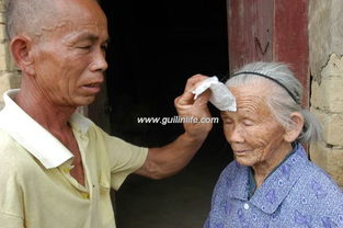 �վ�ο�����Ƿ��к��ͼ,�ձ����Ӻ�������ѧȥ�ձ�����������Ϣ