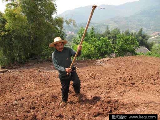 古墓里挖出的文物视频,农民菜地里挖出文物最新消息图