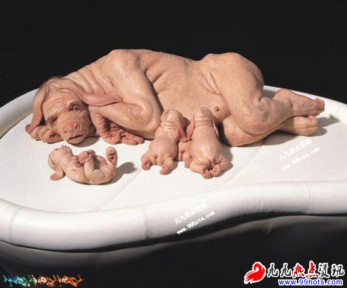 �����ڶ��ؾ�������ͼ,�̵������������ͼƬ