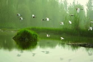 我国第一大淡水湖鄱阳湖简介,中国五大淡水湖排名资料