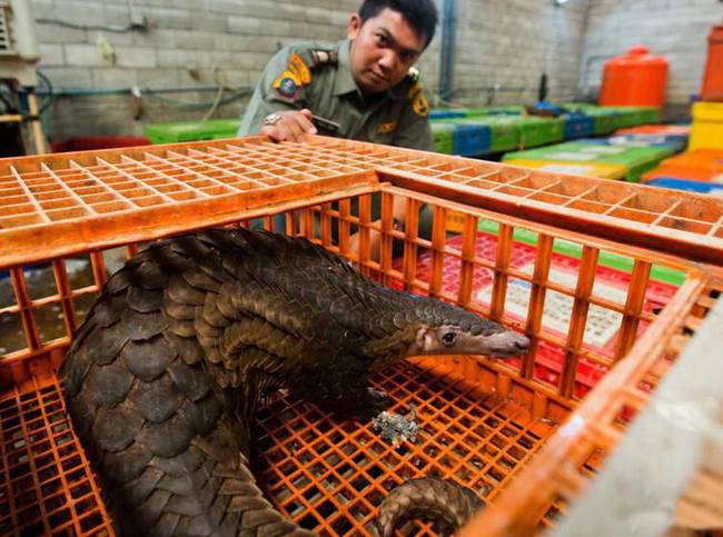 �й���ɽ��ΪʲôԽ��Խ��,��ɽ�ױ�������ɱ��Ƭԭ��