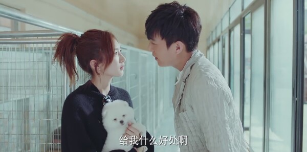 ���������ּ��������