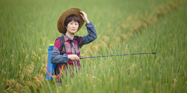 �ϴ��С���ּ��������