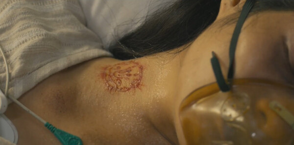 �Ϻ�����ּ��������