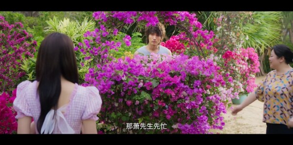 �Ļ��ּ��������