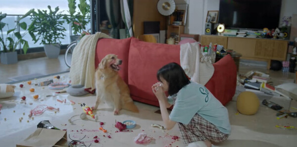 ��ңԶ�ľ���ּ��������