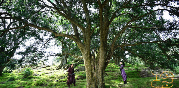 ����ּ��������