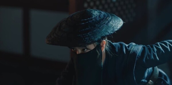 ��Ҷժ�ǳ��ּ��������