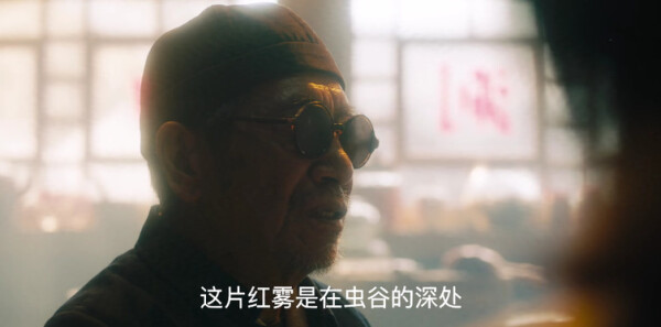 云南虫谷分集剧情介绍