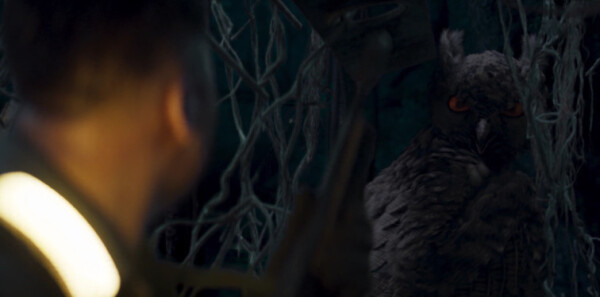 ���ϳ�ȷּ��������