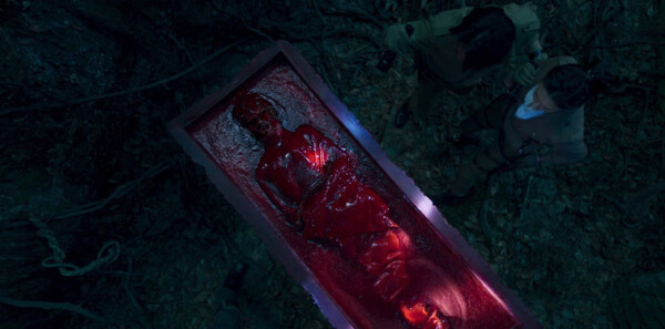 ���ϳ�ȷּ��������