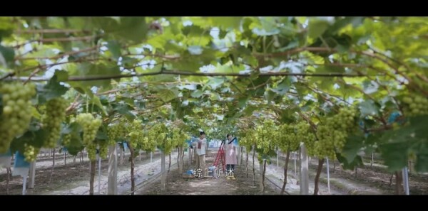 �����˵�Сɭ�ַּ��������