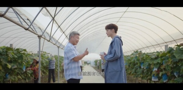 �����˵�Сɭ�ַּ��������