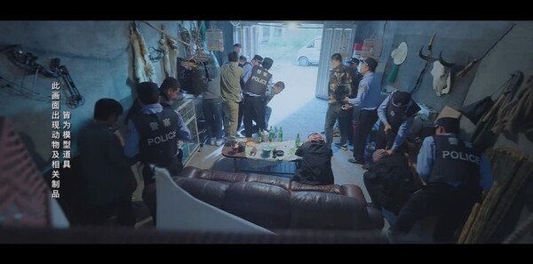 �����˵�Сɭ�ַּ��������