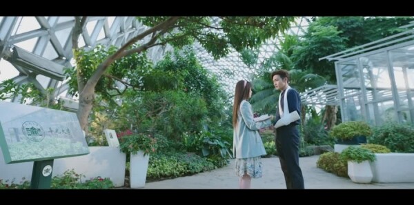 �����˵�Сɭ�ַּ��������