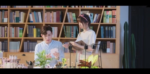 �����˵�Сɭ�ַּ��������