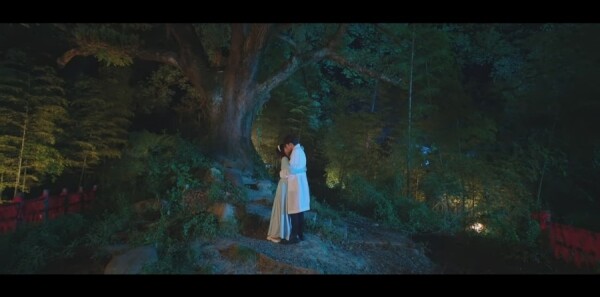 �����˵�Сɭ�ַּ��������