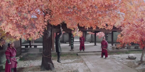 �һ����ּ��������