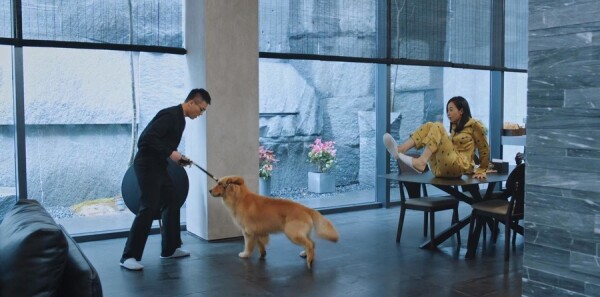 陌生的恋人分集剧情介绍