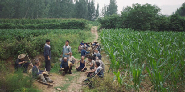 ɽ�ӽ���ּ��������