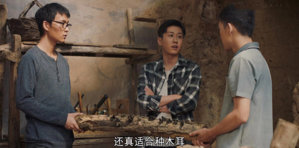 ɽ�ӽ���ּ��������