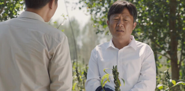 ɽ�ӽ���ּ��������