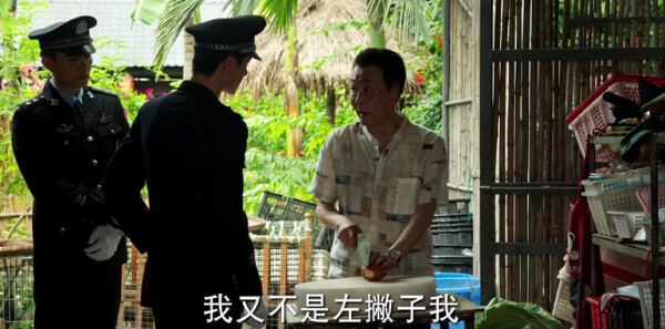 冰雨火分集剧情介绍