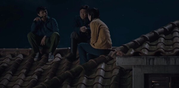 ���׵Ĳ�ԭĸ�׵ĺӷּ��������