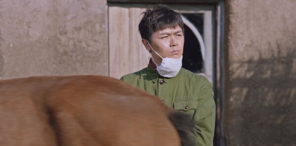 ���׵Ĳ�ԭĸ�׵ĺӷּ��������