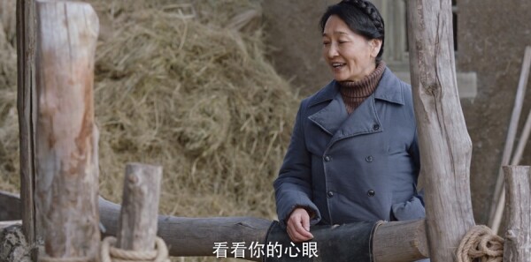 ���׵Ĳ�ԭĸ�׵ĺӷּ��������