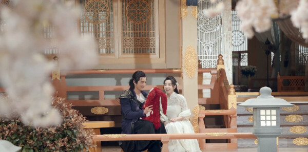 �Ϲ����ּ��������