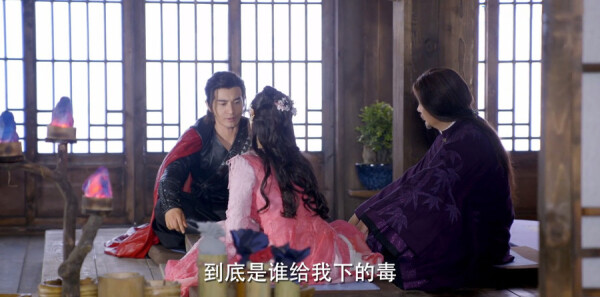 �Ϲ����ּ��������