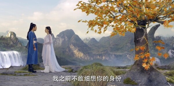 �Ϲ����ּ��������