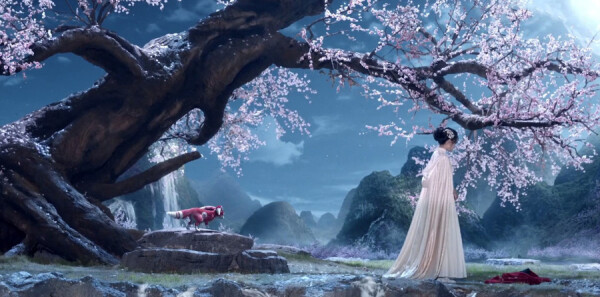 �Ϲ����ּ��������