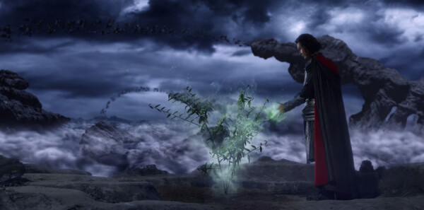 �Ϲ����ּ��������