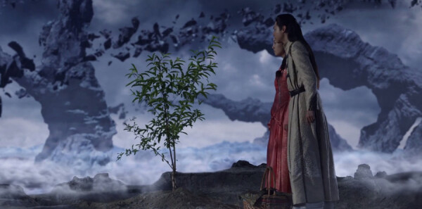 �Ϲ����ּ��������