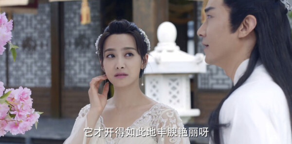 �Ϲ����ּ��������