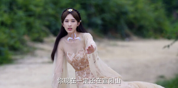 �Ϲ����ּ��������