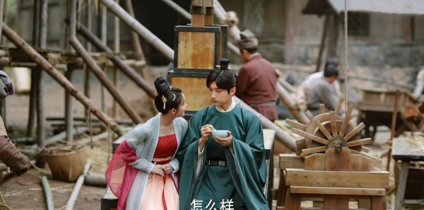 ����Ƿּ��������