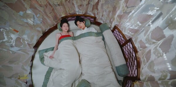 ����Ƿּ��������