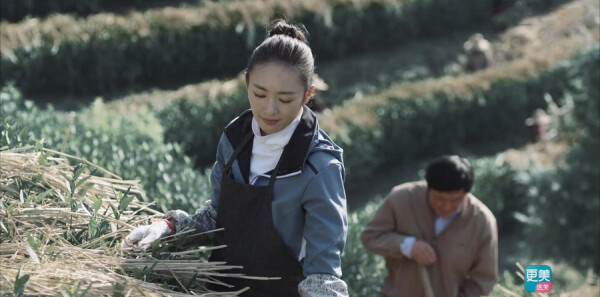 ��ʮ���ѷּ��������