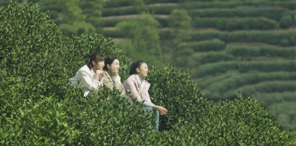 ��ʮ���ѷּ��������