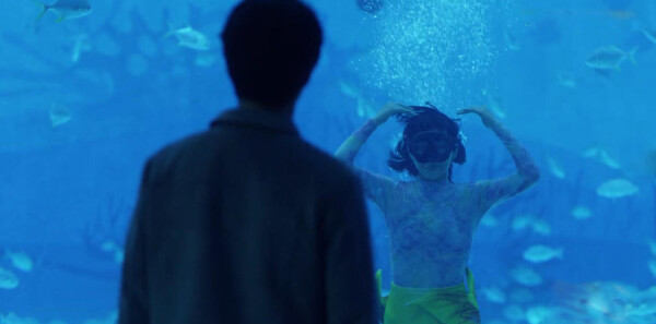 ��ʮ���ѷּ��������