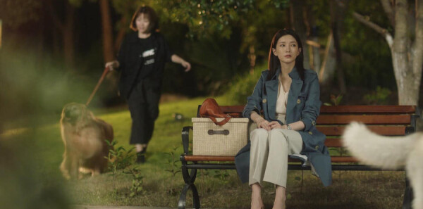 ��ʮ���ѷּ��������