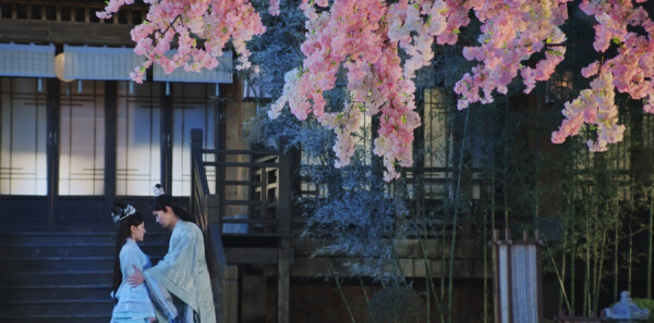 ˫������2�ּ��������