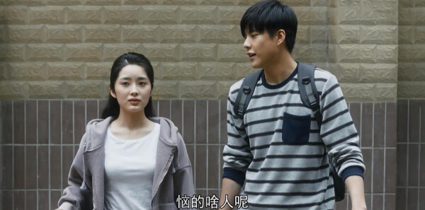 װ̨�ּ��������