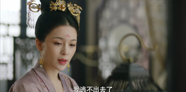 ����ŵ�ּ��������